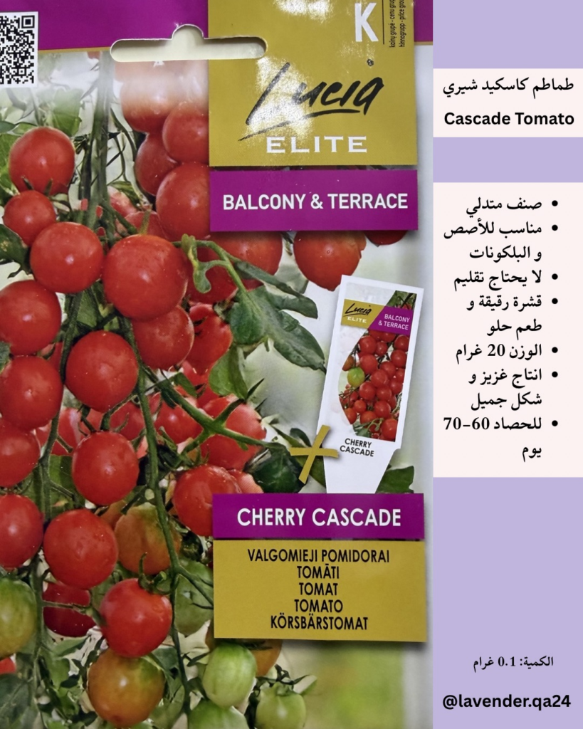 card product 3