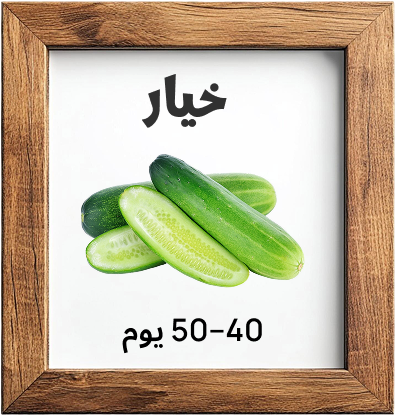 grow 2