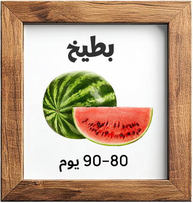 grow 3