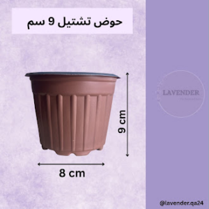 حوض تشتيل 9 سم ( 10 أحواض )