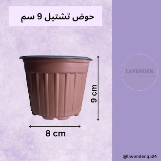 حوض تشتيل 9 سم ( 10 أحواض )