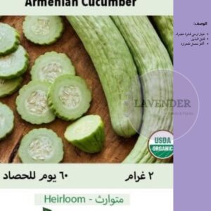 خيار أرمني - Armenian Cucumber