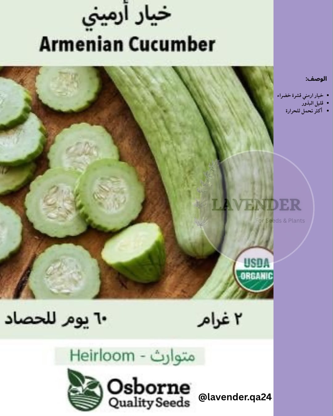 خيار أرمني - Armenian Cucumber