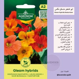ابو خنجر متسلق مكس - Gleam Hybrids Nasturtium