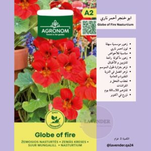 ابو خنجر احمر ناري- Globe of Fire Nasturtium