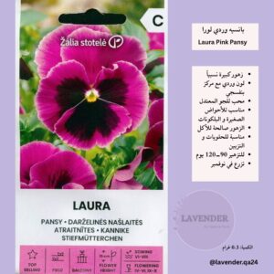 بانسيه وردي لورا- Laura Pink Pansy