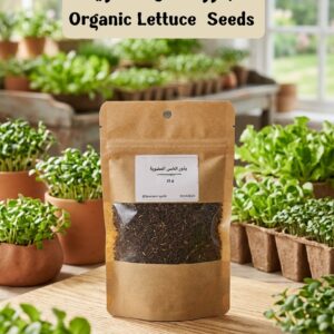 بذور الخس العضوية - 30 غرام - Organic Lettuce Seeds
