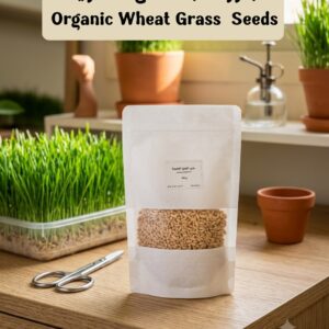 بذور عشبة القح العضوية 100 غرام - Organic Wheat Grass Seeds