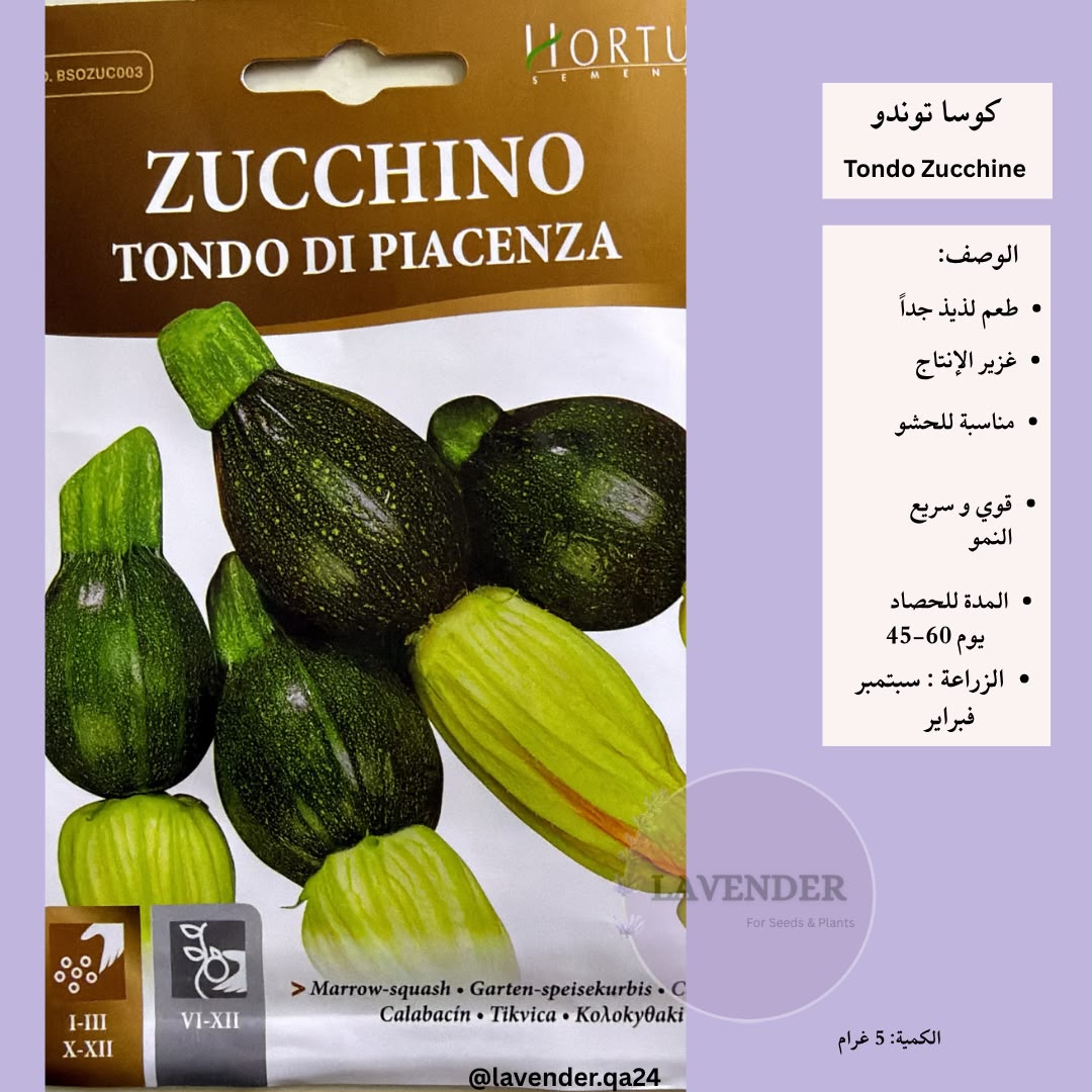 كوسا توندو - Tondo Zucchini