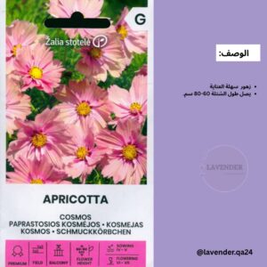 كوزموس Apricotta