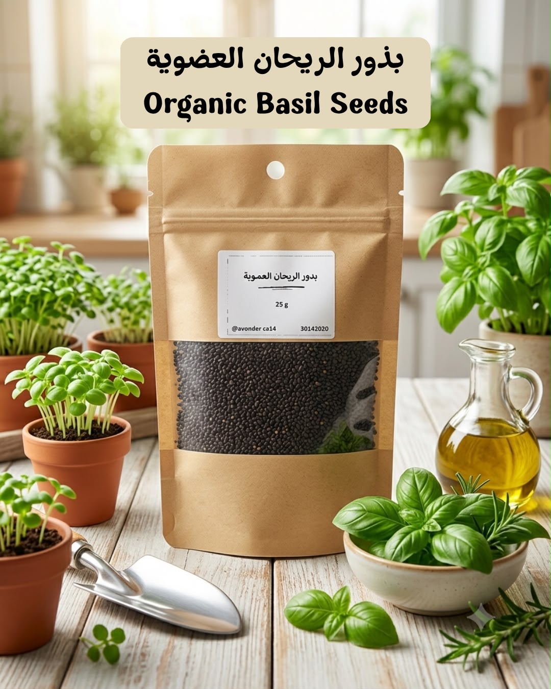 بذور الريحان العضوية - 25 غرام - Basil Seeds