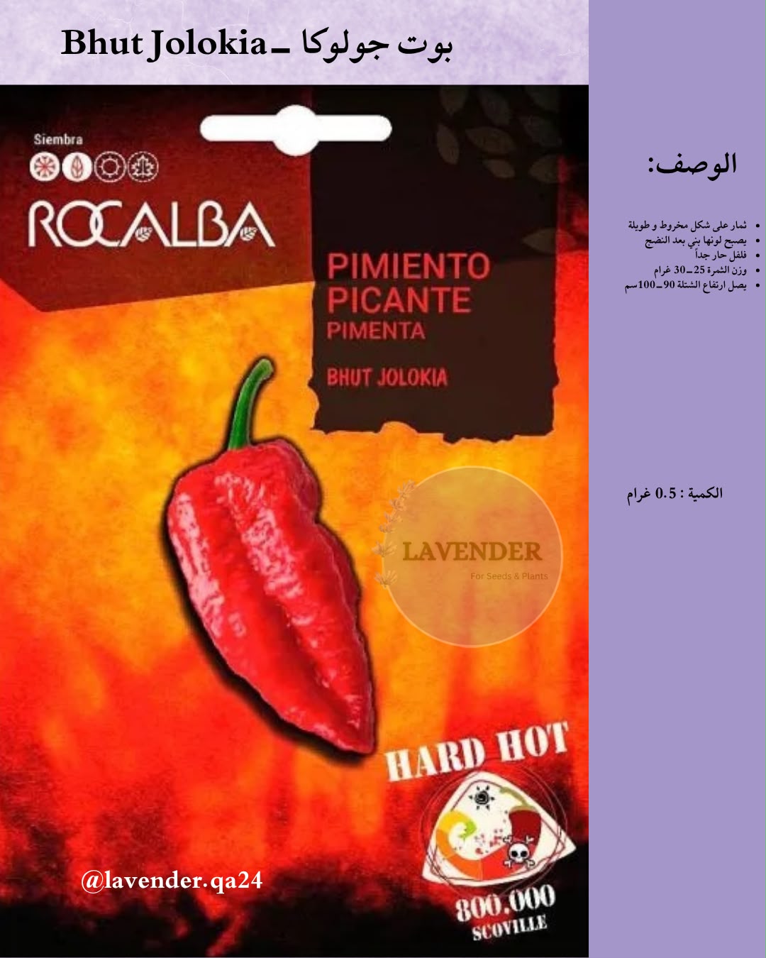 فلفل بوت جولوكيا- Bhut Jolokia