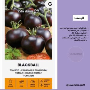 طماطم Blackball