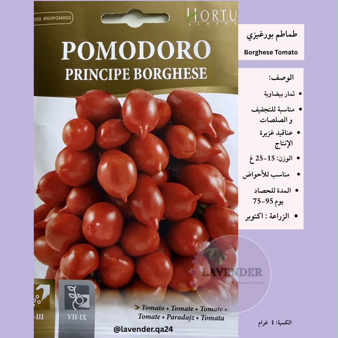 طماطم بورغيزي-Borghese Tomato