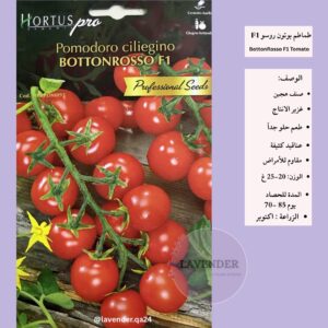 طماطم بوتون روسو F1- BottonRosso Tomato