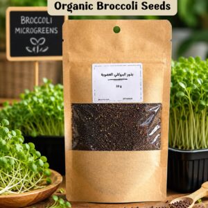 بذور بروكلي عضوية ( 30 غرام ) - Broccoli Seeds