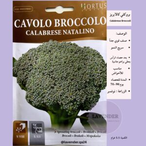 بروكلي كالابريز - Calabrese Broccoli