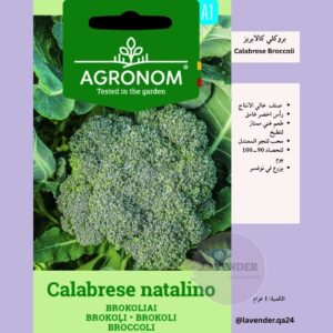 بروكلي كالابريز ناتاليانو- Calabrese Broccoli