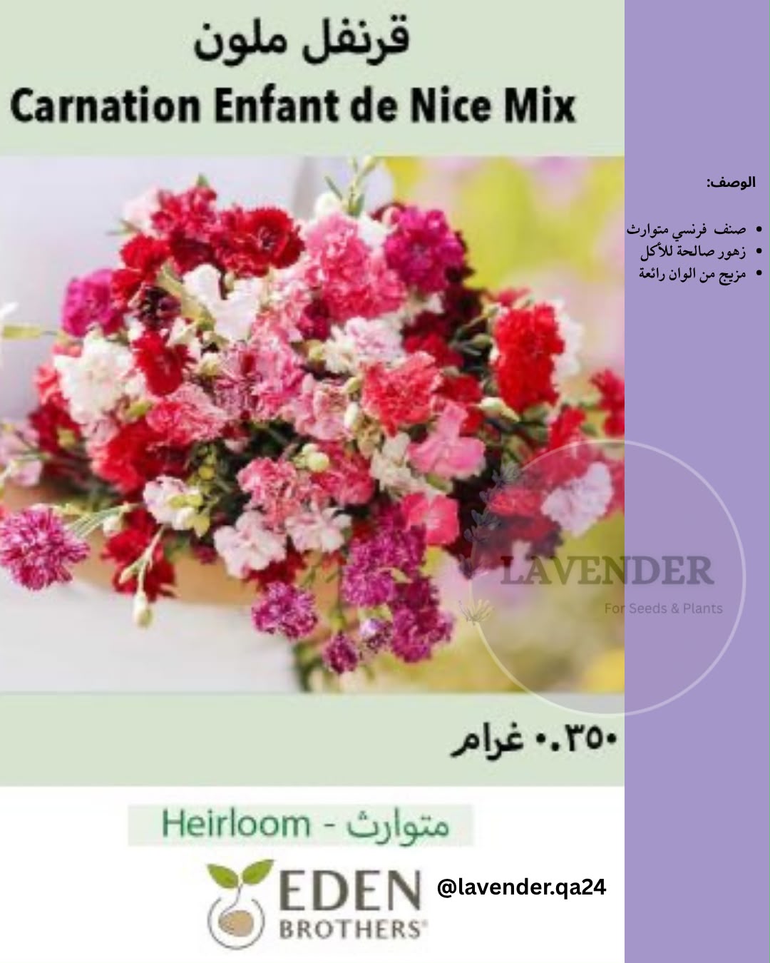 قرنفل ملون- Carnation Enfant de Nice Mix