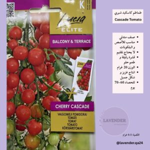 طماطم كاسكيد شيري - Cascade Cherry Tomato