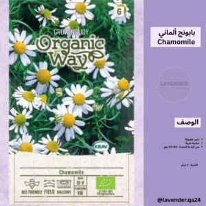 بابونج ألماني - German Chamomile