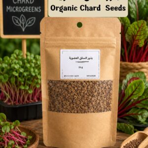ميكروغرين السلق - Organic Chard Seeds