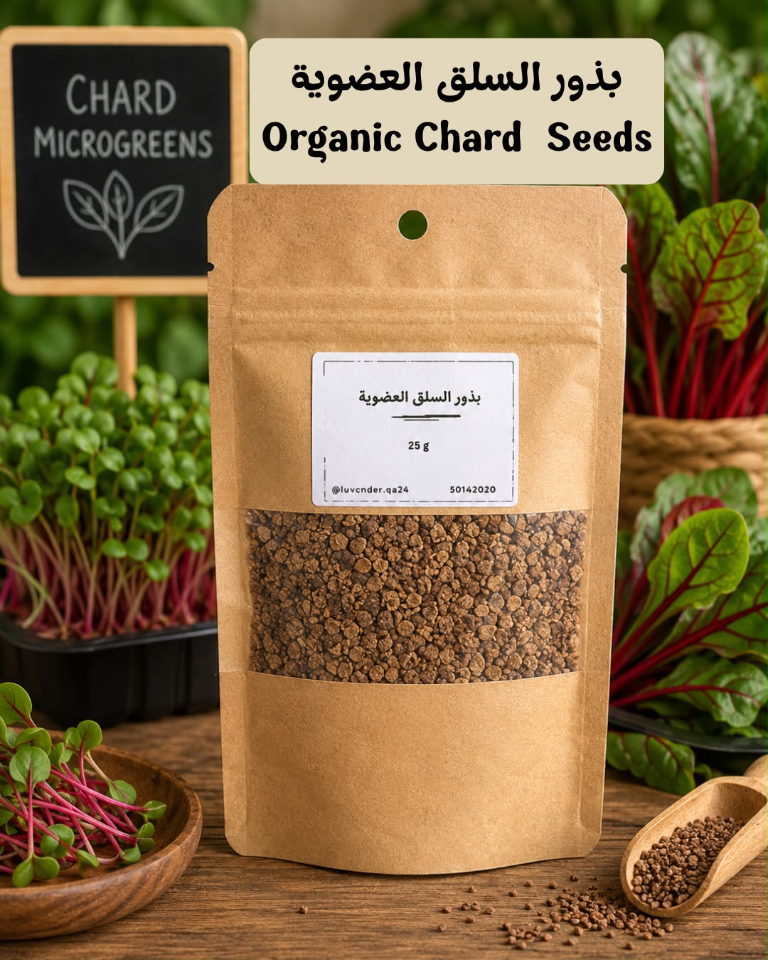 ميكروغرين السلق - Organic Chard Seeds