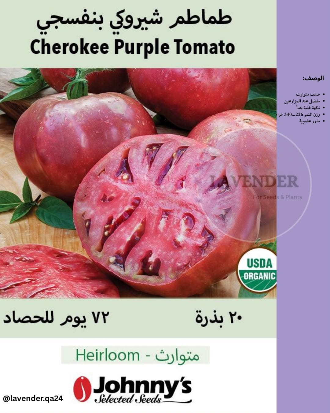 طماطم شيروكي بنفسجي- Cherokee Purple Tomato