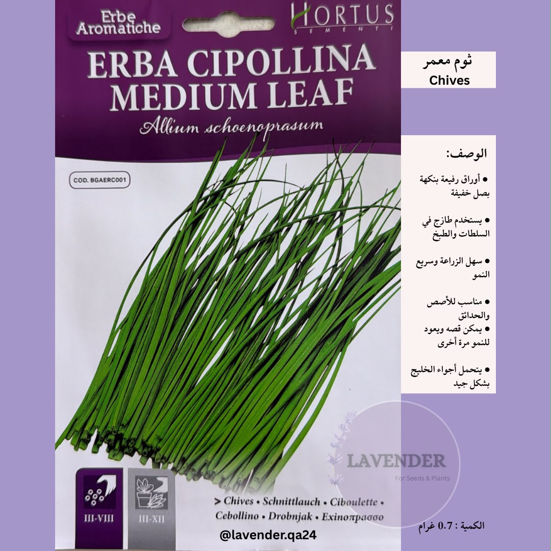 ثوم معمر - Chives