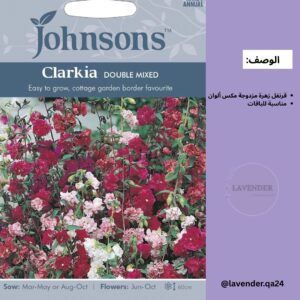 قرنفل Clarika زهرة دبل