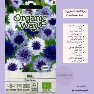 زهرة الذرة ( القنطزيون)-Cornflower Ball