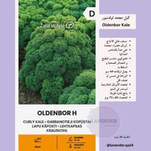 كيل مجعد اولدنبور - Curly Kale