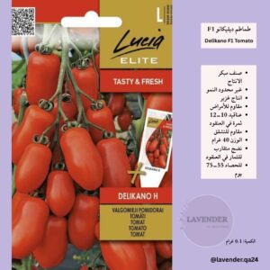 طماطم ديليكانو - Delikano F1 Tomato