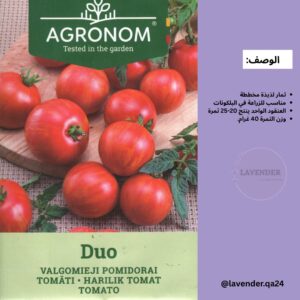 طماطم ديو - Duo-tomato