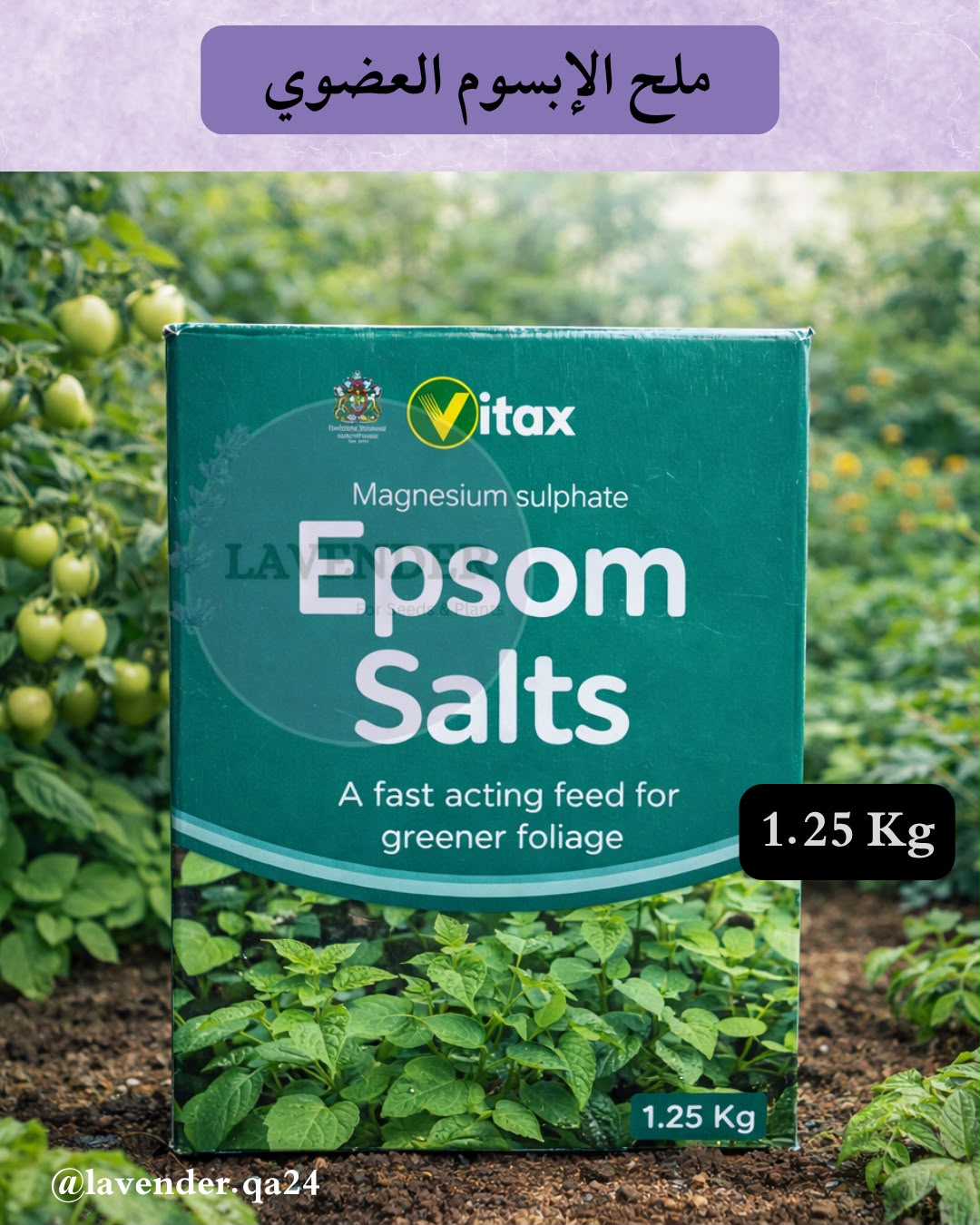 ملح الإبسوم العضوي ( 1.25)kg