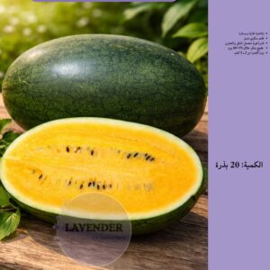 بطيخ اصفر SSB100 - Yellow Watermelon F1