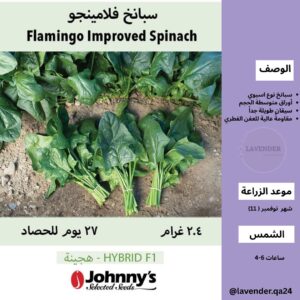 سبانخ فلامينجو