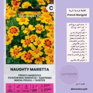 قطيفة فرنسية ماريتا- Marietta French Marigold