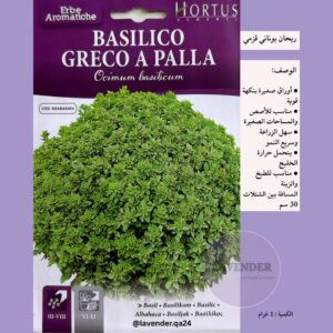 ريحان يوناني قزمي- Greece Dwarf Basil