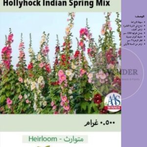 خطمية الربيع الهندي- Indian Spring Hollyhock Mix