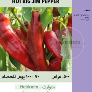 فلفل جيم العملاق -Hot Big Jim Pepper