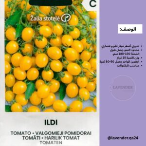 طماطم إلدي - Tomato ILDI