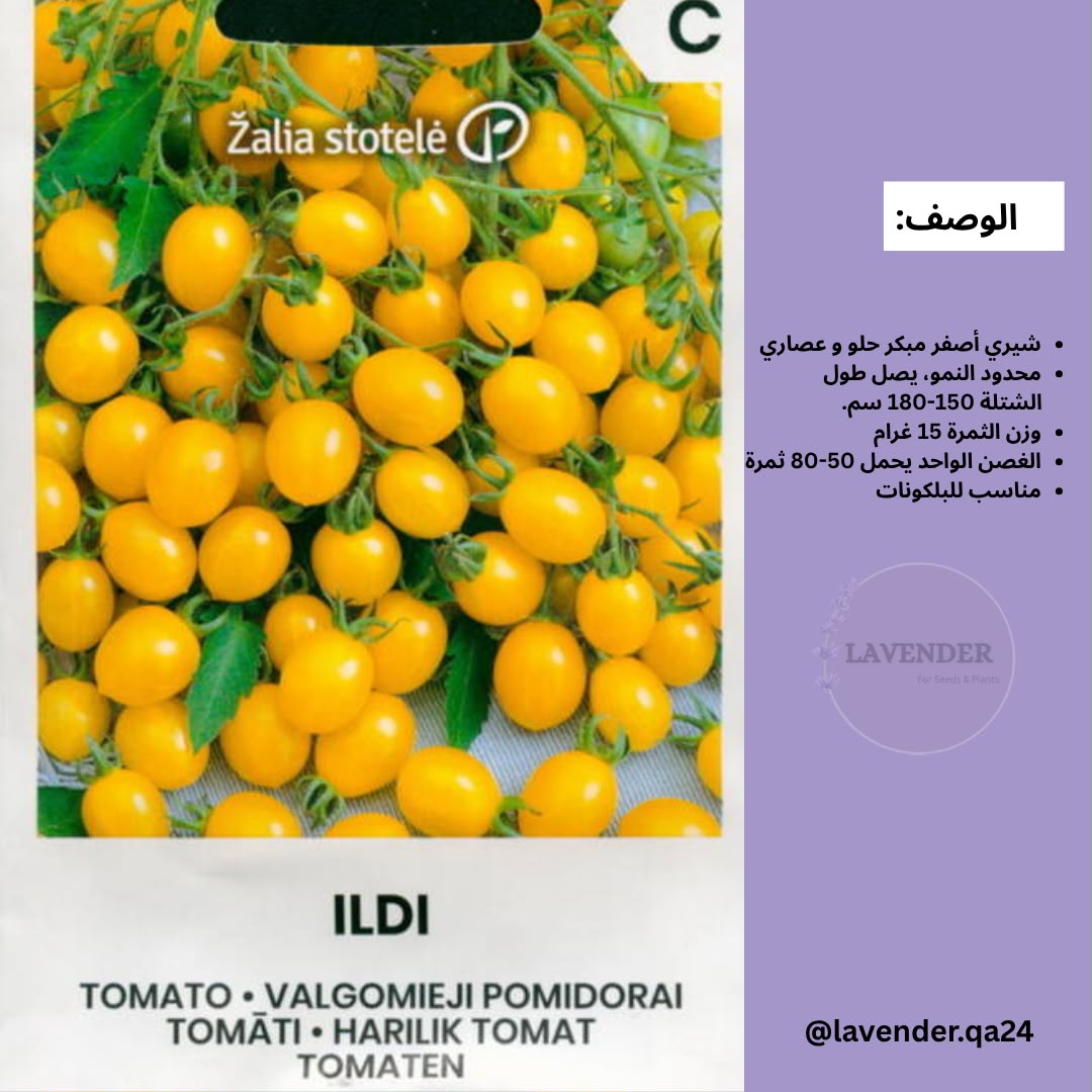 طماطم إلدي - Tomato ILDI