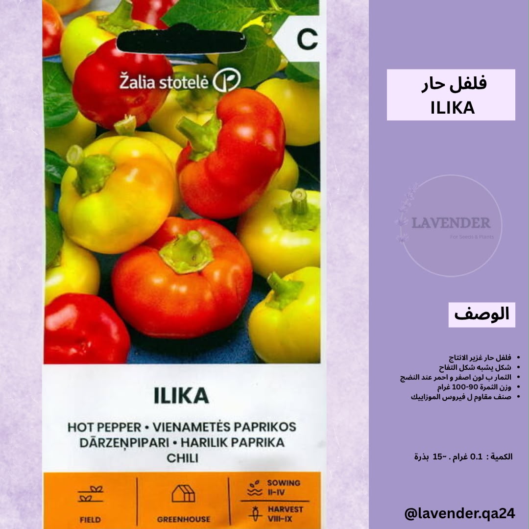 فلفل حار F1 - Ilika