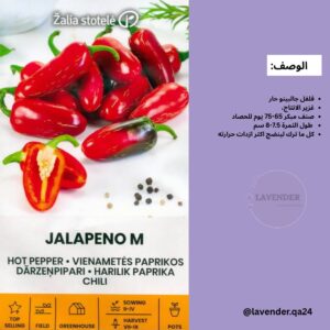 فلفل جالبينو - Jalapeno متوسط الحرورة