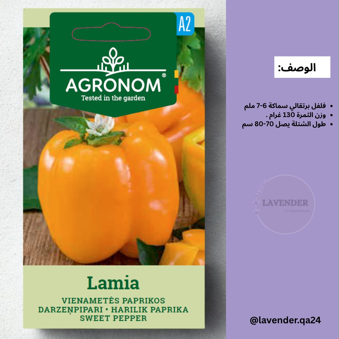 فلفل بارد برتقالي - Lamia Sweet Pepper