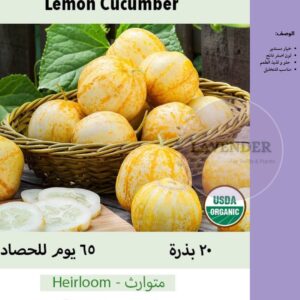 خيار ليموني - Lemon Cucumber