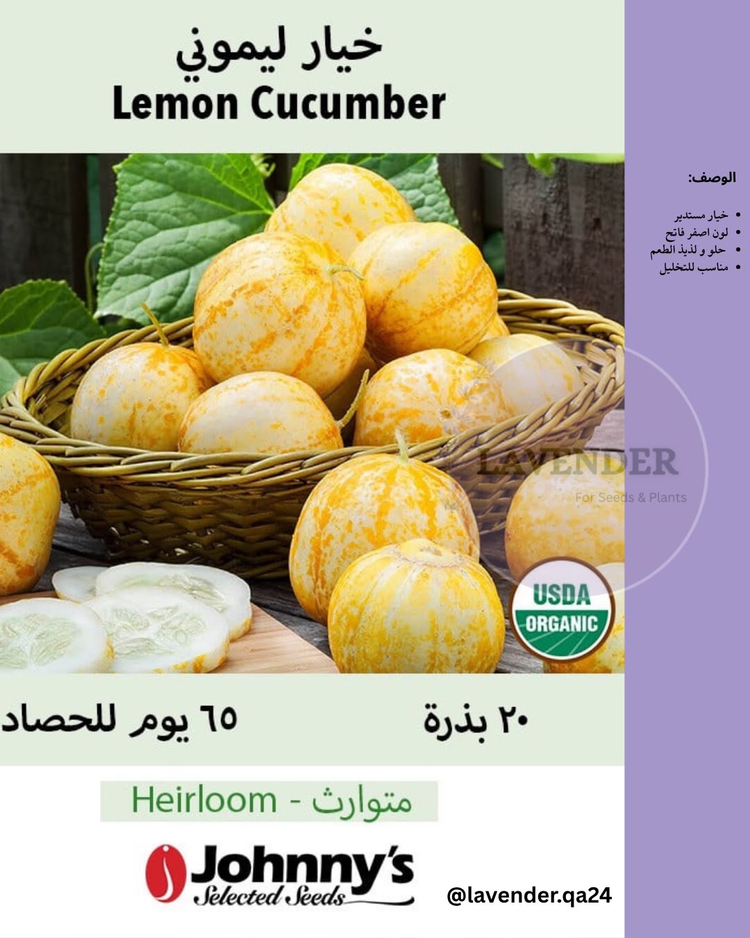 خيار ليموني - Lemon Cucumber