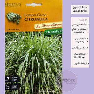 عشبة الليمون- Lemon Grass