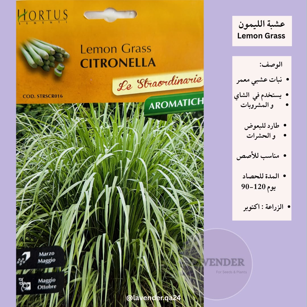 عشبة الليمون- Lemon Grass